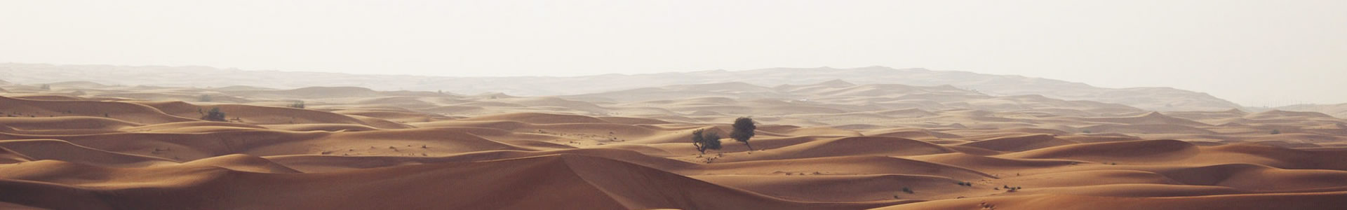 ɽĳƼ޹˾